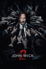 John Wick: Chapter 2 (2017)