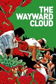 The Wayward Cloud (2005)