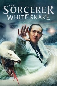 The Sorcerer and the White Snake (2011)