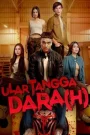 Ular Tangga Dara(h) (2024)